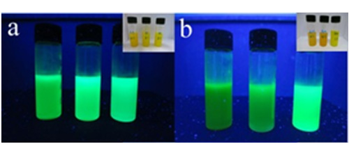 Investigation on stability and photocatalysis of perovskites  