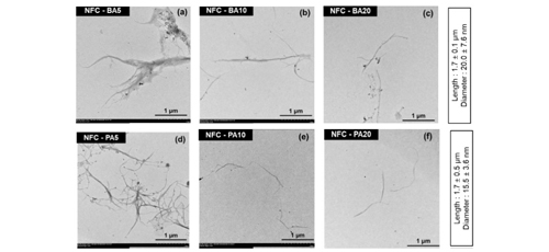 Micro/Nanostructured Papers from Bagasse Pulp Reinforced by Nanofibrillated Cellulose from different Agro-Waste Sources 