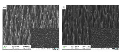 Nanoparticles-enabled low temperature growth of carbon nanofibers and their properties for supercapacitors 