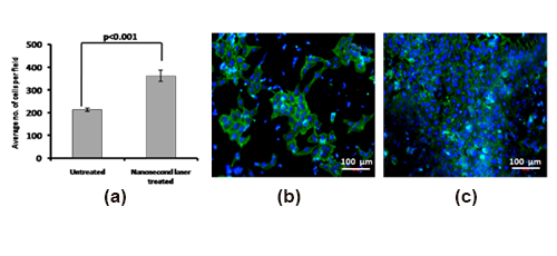 Nanosecond Laser Surface Patterning of Ti6Al4V Bio-alloy for Improved Biological Performance 