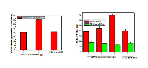 Efficient siRNA delivery using osmotically active and biodegradable poly(ester amine)   