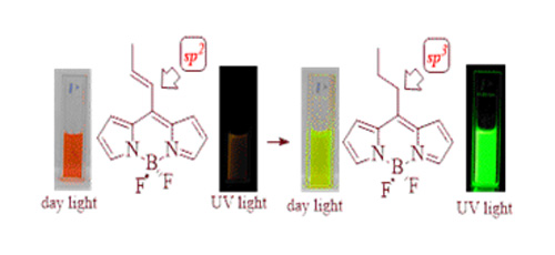 Conjugate-like addition of soft nucleophiles to 8-alkenylBODIPYs 