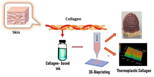 Insights into the Emerging Collagen-based Bio-ink in 3D Bio-printing for Tissue Engineering: A Short Review