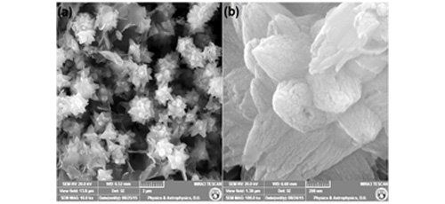 Synthesis and study of optical properties of microstructure flower-shaped ZnO  