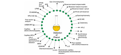 Review on Detection of Phenol in Water  