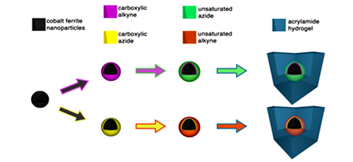 Bottom-up design of hydrogels through click-chemistry modification of magnetic nanoparticles 