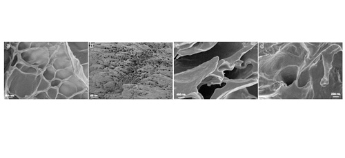 Thermal properties of hydrogel-clay nano-composites 