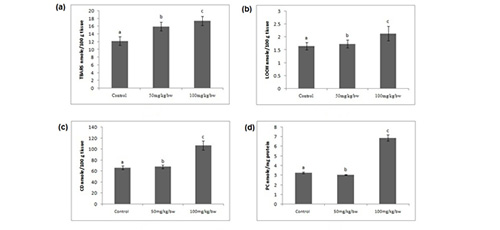 TiO<sub>2</sub> nanoparticles induced oxidative stress mediated DNA damage in the liver of adult male Wistar rats