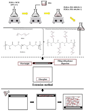 Chemical Processing and Physical-Chemical and Mechanical Characterizations of Poly (L-co-D, L lactic acid)/Polyethylene Glycol Mixtures for Application as a Biomedical Device