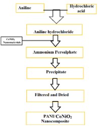 Polyaniline/CoNiO2 Nanocomposite: Synthesis, Characterization and Thermal Study