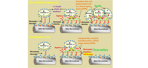 Highly hydrophilic copolymer based PES hollow fibre ultrafiltration membranes
