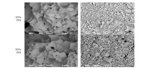 Mechanical properties of hydroxyapatite scaffolds produced by gel-casting and combination gel-casting/polymer foams infiltration 