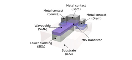 Waveguide-detector system on silicon for sensor application