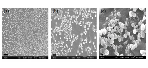 Synthesis of Rod-coil Molecules bearing Oligo-Phenylene Vinylene Motifs: Effect of PEO Chain Lengths on the Evolution of Nanostructures Morphology and their Photophysical Properties