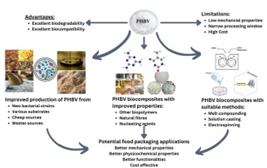 Recent Advances in Poly(3-Hydroxybutyrate-co-3-Hydroxyvalerate) Biocomposites in Sustainable Packaging Applications 