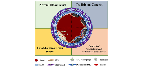 Advanced Healthcare Biomaterials 