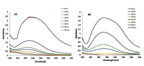 Silver nanoparticles mediated by extract of Guar plant (<em>Cyamopsis tetragonoloba)</em>), and evaluation of their photocatalytic and antibacterial properties
