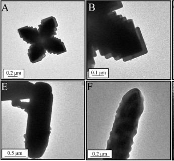 Dielectric Studies on Dendrite-shaped PbTe, Rod-shaped SnTe and their Nanocomposite 