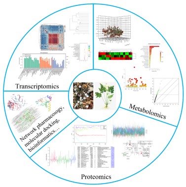 Multi-omics technology for demystifying herbal medicine 