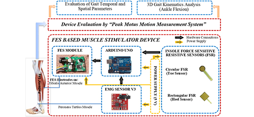 Design of FES based muscle stimulator device using EMG and insole force resistive sensors for foot drop patients 