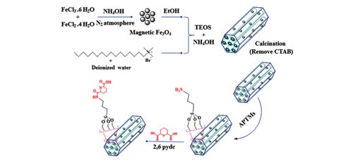 Synthesis, Functionalized and Characterization of Magnetic Fe<sub>3</sub>O<sub>4</sub> Nanoparticles Protected with MCM-41 Mesoporous 