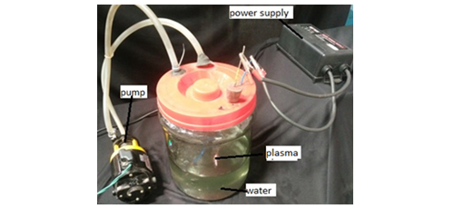 Plasma Activated Water as a Source of Nitrogen for Algae Growth 