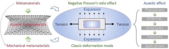 An Interesting Material: Auxetic Metamaterial