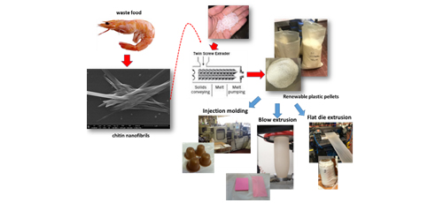 Chitin nanofibrils in renewable materials for packaging and personal care applications 