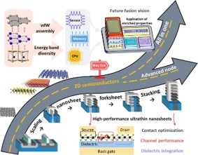 Beyond Graphene: A Comprehensive Review of Emerging 2D Materials