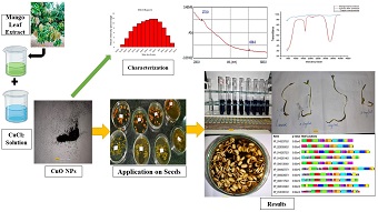 Effect of Mangifera indica extracted CuO NPs on seed germination of Cicer arietinum and Vigna radiata: an insight on biochemical, physiological and computational studies