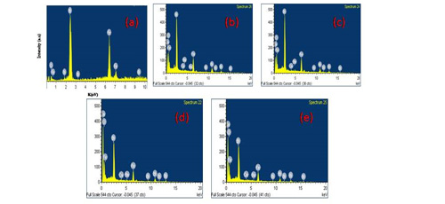 Magnetic and dielectric properties of divalent Ca2+ and Ba2+ ions co-doped BiFeO3 nanoparticles 