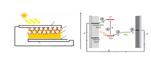 Development of Ruthenium Complex Based Sensitizers, Organic Based Sensitizers, and Co-sensitization System for Dye-sensitized Solar Cells