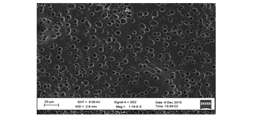 Facile synthesis of novel tough and highly flexible biodegradable membranes for water microfiltration 