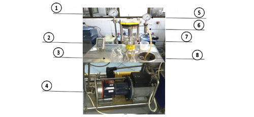 Enhancement the properties of high and low-density polyethylene membranes by radiation grafting process 