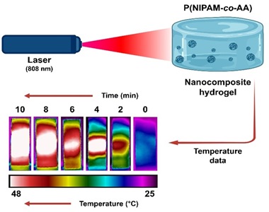 Comparative Study of the Photothermal Behavior of Polydopamine-, Polypyrrole-, and Carbon Nanotubes-based Materials 