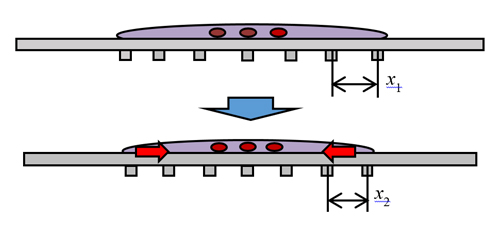Are Quantitatively Micro-machined Scaffolds Effective for Cell Technology? 