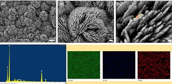 Flake like Copper Oxide Nanostructures and their Application in Electrocatalytic Sensing of Growth-Promoting Agents 