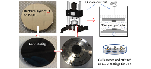 The Effect of Bias on Properties of DLC Coatings for Artificial Joints 